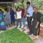 Caritas Sedec National Centre staff made a monitoring visit to Caritas Hudec Jaffna on 20th and 21st November. They visited our beneficiaries farmers, preschool children and mothers, students, Government officials. We implemented the food security project at Chavakacheri DS division this year promoting sustainable livelihood in Home Gardens Poultry and long term trees.